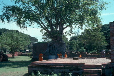 Ayuthaya ruins.