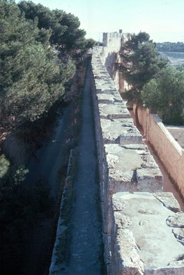 Jerusalem City Wall.