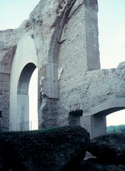 Baths of Caracalla.