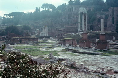 Roman Forum.