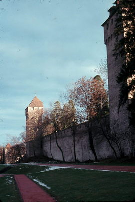 Lucerne.