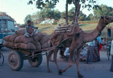 New Delhi, India.