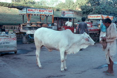 New Delhi, India.