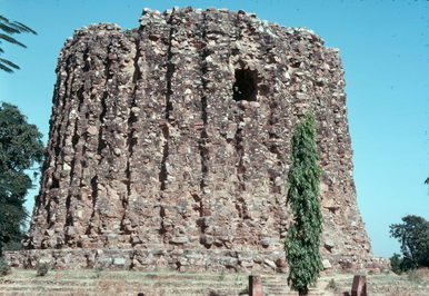 Delhi / Agra, India.