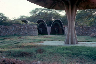 Delhi Zoo.