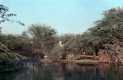 Delhi Zoo.