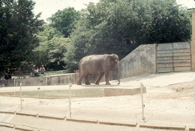 Zoo Houston, TX