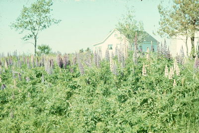 Nova Scotia, Canada