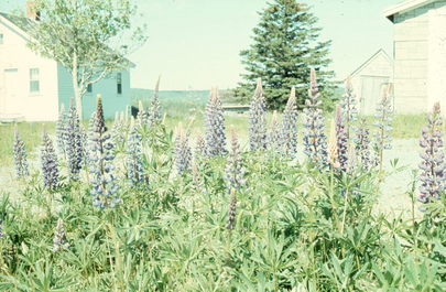 Nova Scotia, Canada