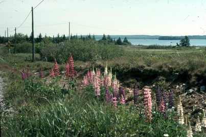 Nova Scotia, Canada