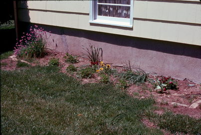 Barbara's Home, Needham, MA