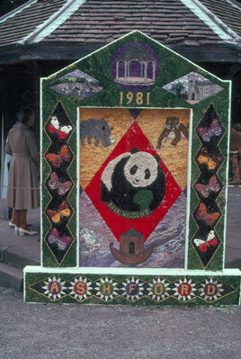 Ashford Well Dressing, Derbyshire