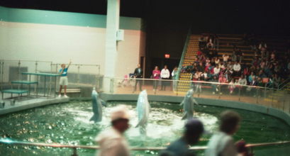 Mystic Aquarium.