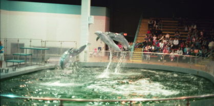 Mystic Aquarium.