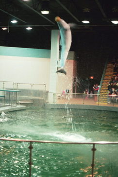 Mystic Aquarium.