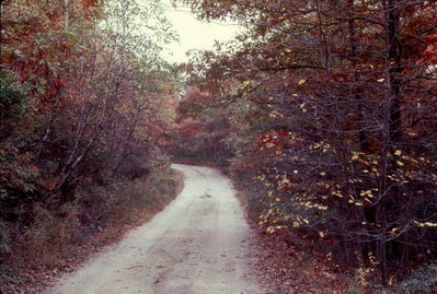 New England Fall Foliage