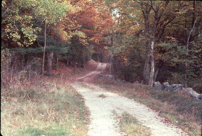 New England Fall Foliage