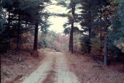 New England Fall Foliage