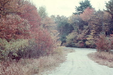 New England Fall Foliage