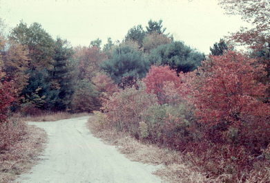 New England Fall Foliage