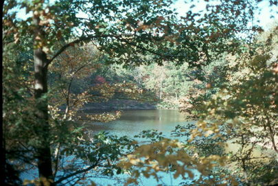 New England Fall Foliage