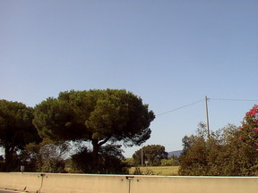 Italy.