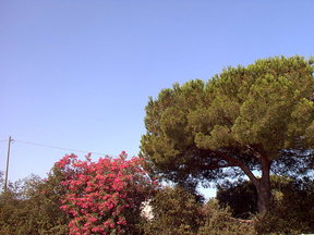 Italy.