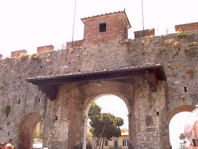 Pisa Walls.