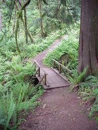 Fall Creek Reservoir Trail.