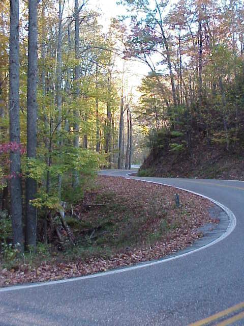 Winding US Route 129 in TN (close to NC).