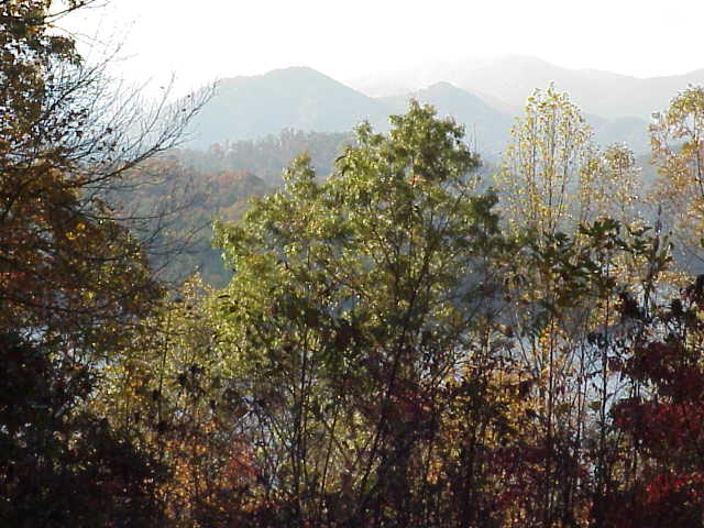Hills in fog in NC.