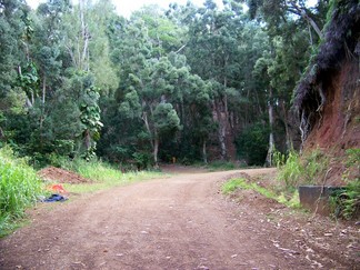 Kaunala Trail, Aieu, HI.