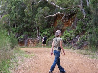 Kaunala Trail, Aieu, HI.