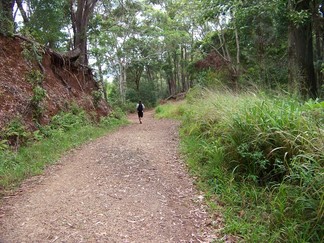 Kaunala Trail, Aieu, HI.