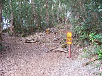 Kaunala Trail, Aieu, HI.