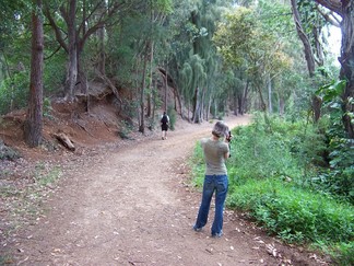 Kaunala Trail, Aieu, HI.