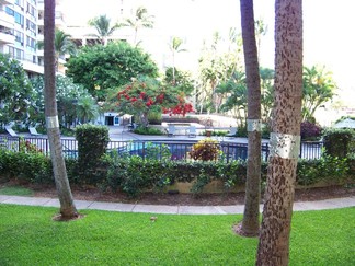 Marco Polo, Honolulu, HI.