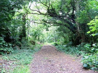 Kamananui Valley Road, HI.