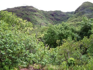 Kamananui Valley Road, HI.