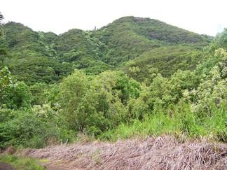 Kamananui Valley Road, HI.