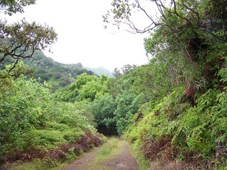 Kamananui Valley Road, HI.