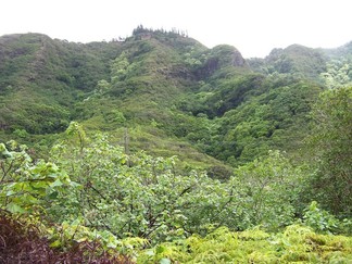 Kamananui Valley Road, HI.