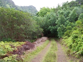 Kamananui Valley Road, HI.