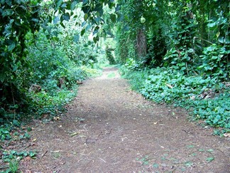 Kamananui Valley Road, HI.