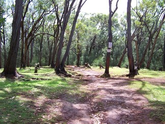 Moana Valley Hike.