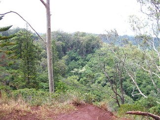 Moana Valley Hike.