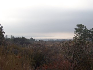 Lake Elsinore mist, CA.