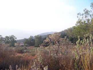 Lake Elsinore mist, CA.