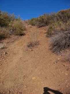 Cleveland National Forest.