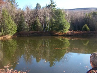 Pond, Woodstock, NY.